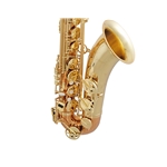 Intermediate and Advanced Tenor Saxophones