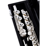 Intermediate and Advanced Flutes