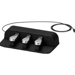 Casio Three-Pedal Unit