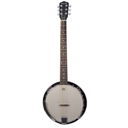 Danville 6 string banjo deals